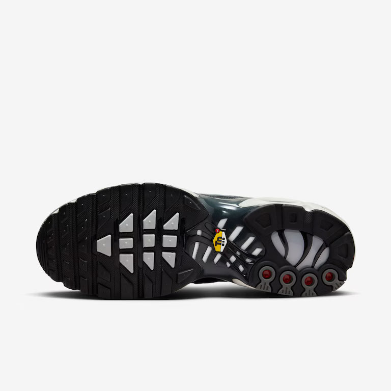 NK Air Max TN Plus Cool Grey Wolf Grey
