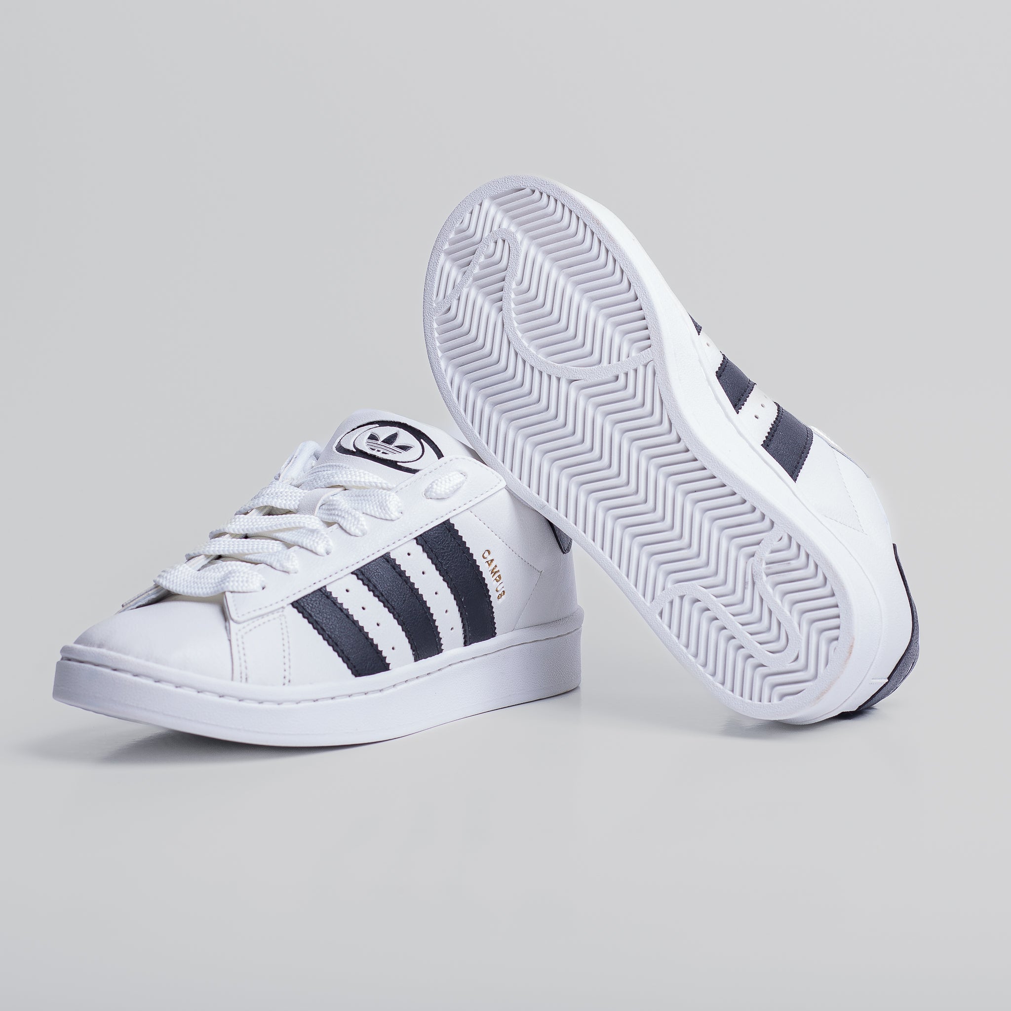 ADDS Campus Branco